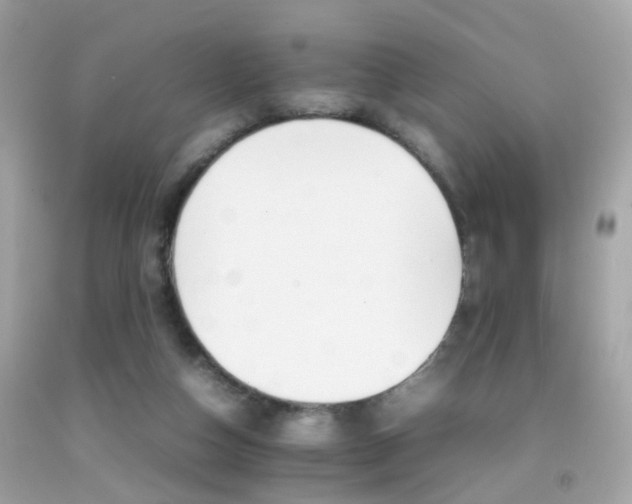 X0000092070162200709121423