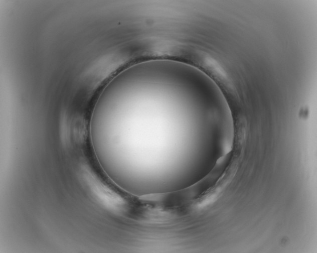X0000092070164200709121423