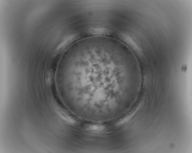 X0000092070165200709121423