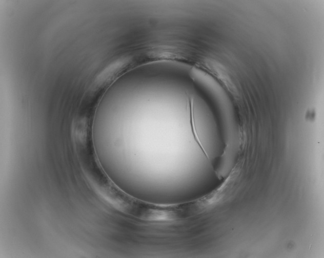 X0000092070167200709121423