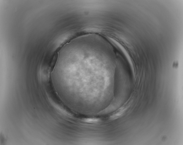 X0000092070168200709121423