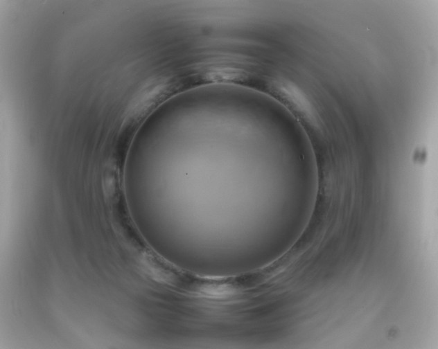 X0000092070169200709121423