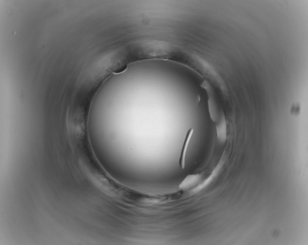 X0000092070170200709121423