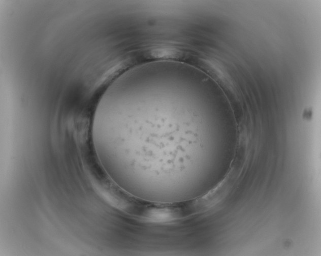 X0000092070171200709121423
