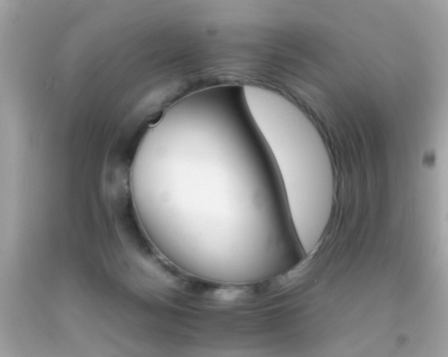 X0000092070172200709121423