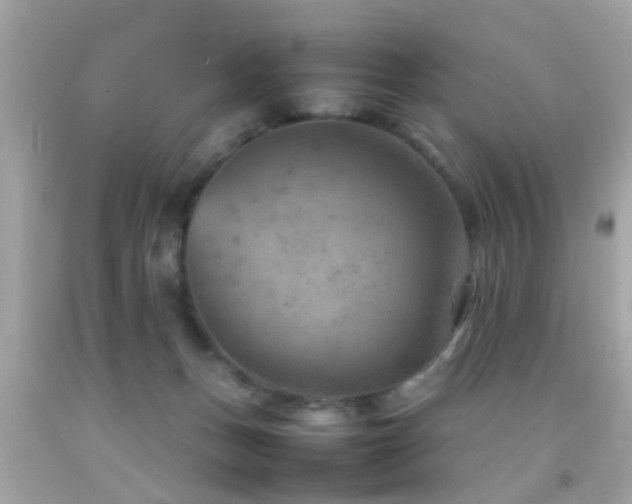 X0000092070175200709121423