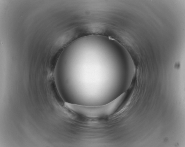 X0000092070176200709121423