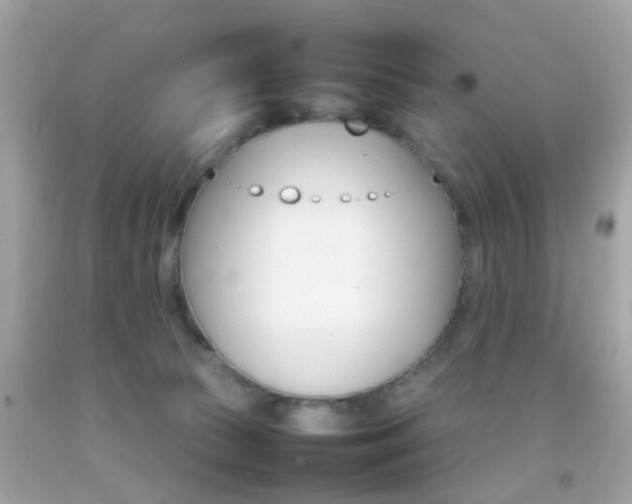 X0000092070177200709121423