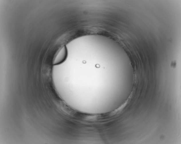 X0000092070178200709121423