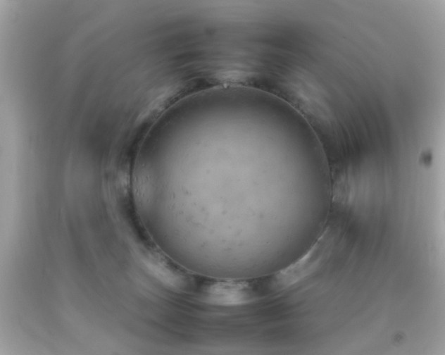 X0000092070179200709121423