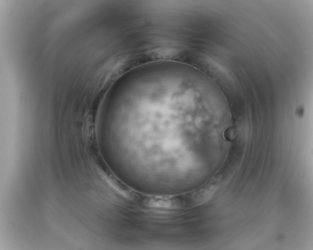 X0000092070181200709121424