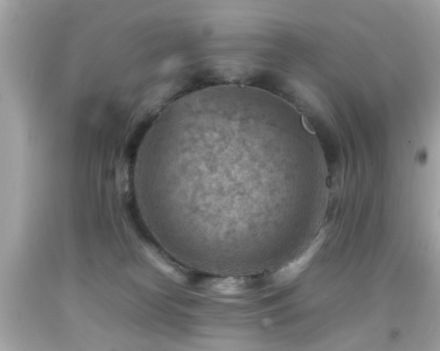 X0000092070182200709121424