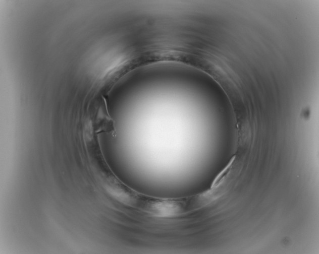 X0000092070183200709121424