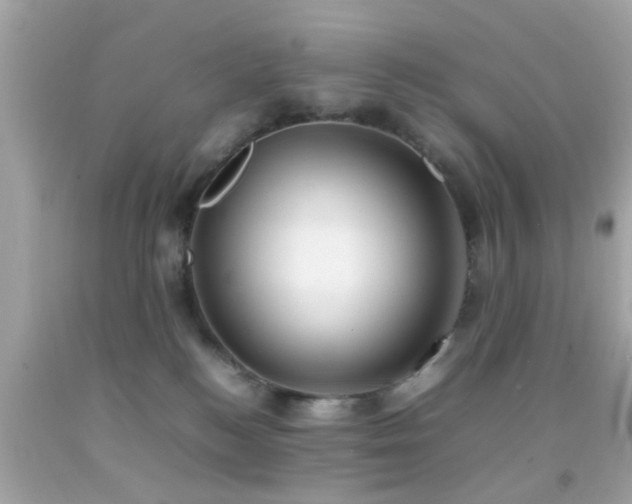 X0000092070184200709121424