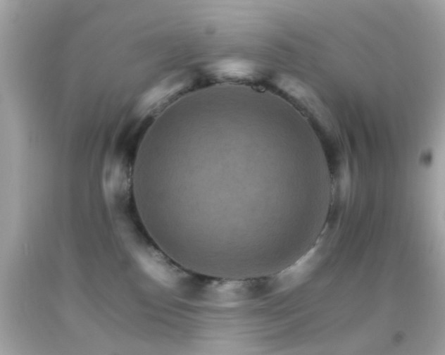 X0000092070186200709121424