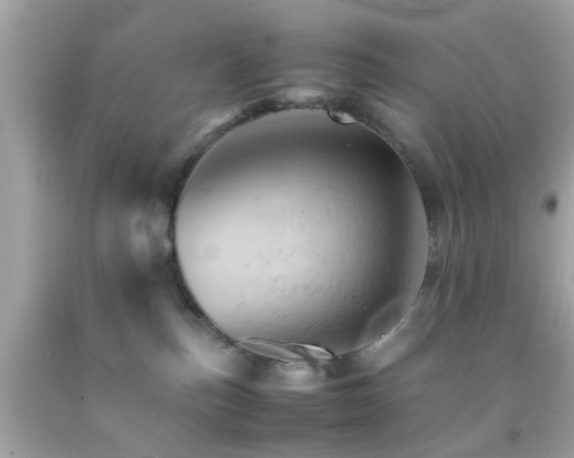 X0000092070187200709121424