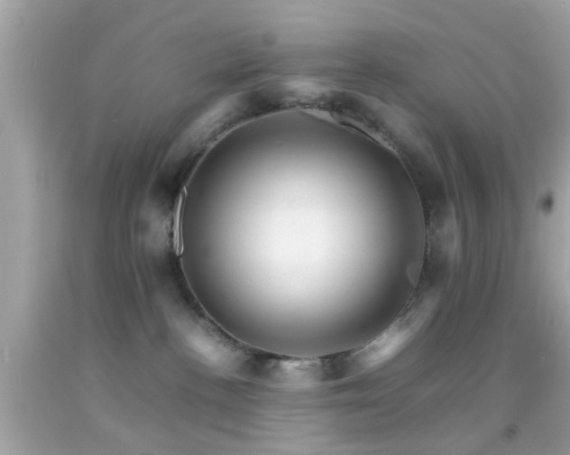 X0000092070188200709121424