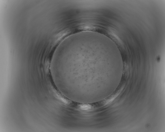 X0000092070189200709121424