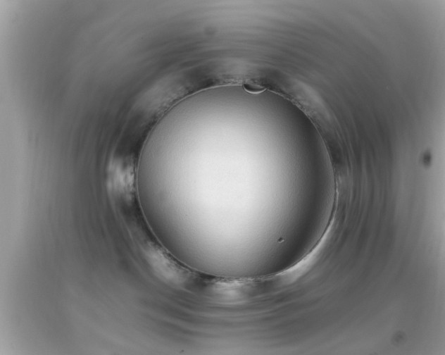 X0000092070190200709121424
