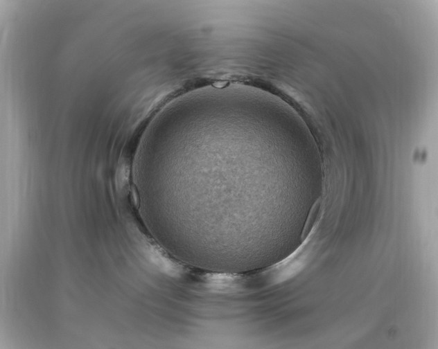 X0000092070192200709121424