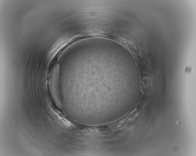 X0000092070194200709121423