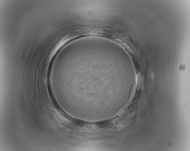 X0000092070195200709121423