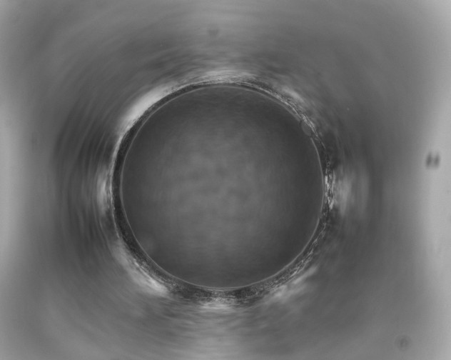 X0000092070196200709121423