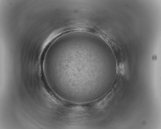 X0000092070198200709121423