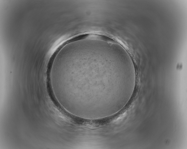 X0000092070199200709121423