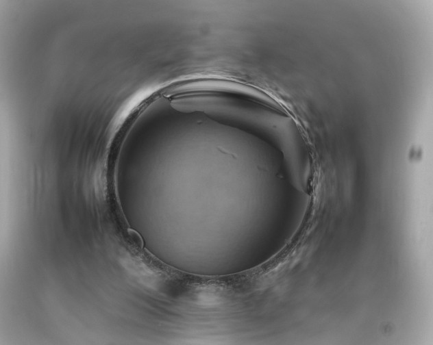 X0000092070200200709121423
