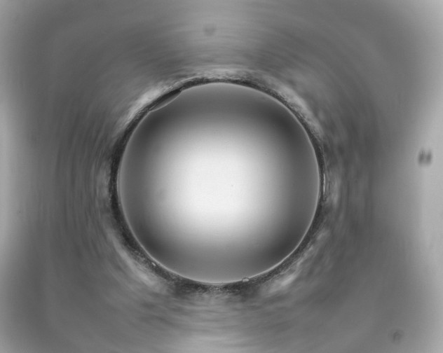 X0000092070201200709121423