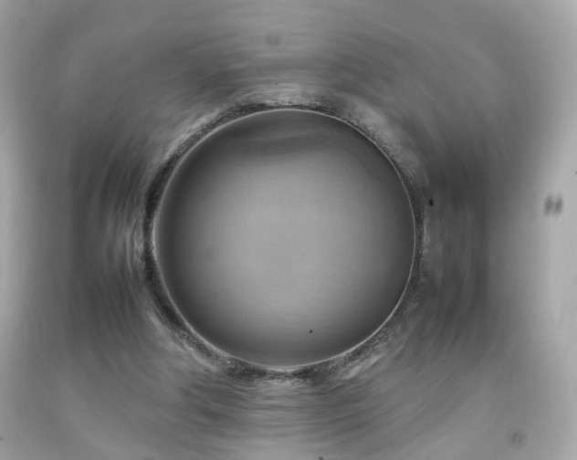 X0000092070202200709121423
