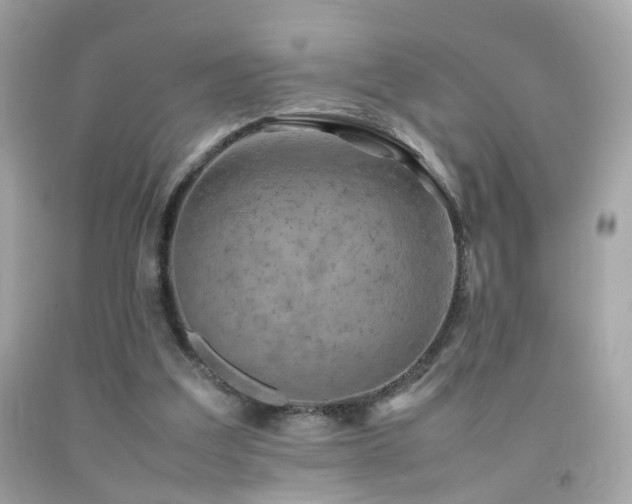 X0000092070203200709121423