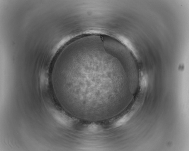 X0000092070204200709121423