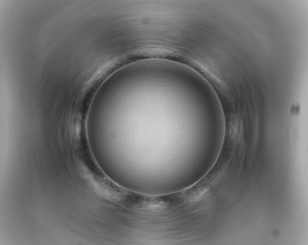 X0000092070206200709121423