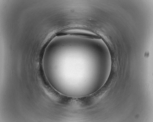 X0000092070207200709121423