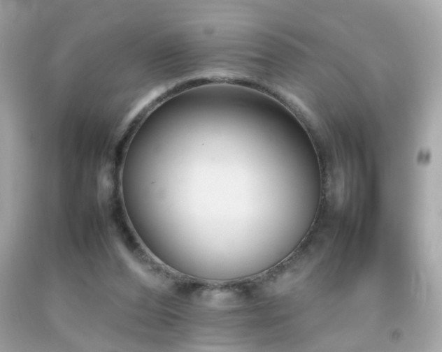 X0000092070208200709121423