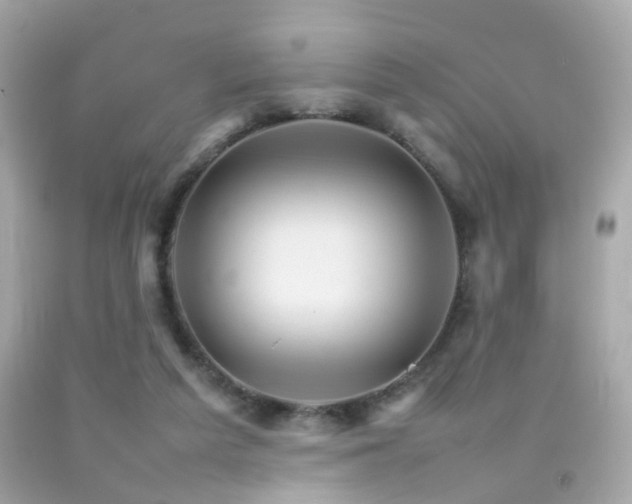 X0000092070209200709121423