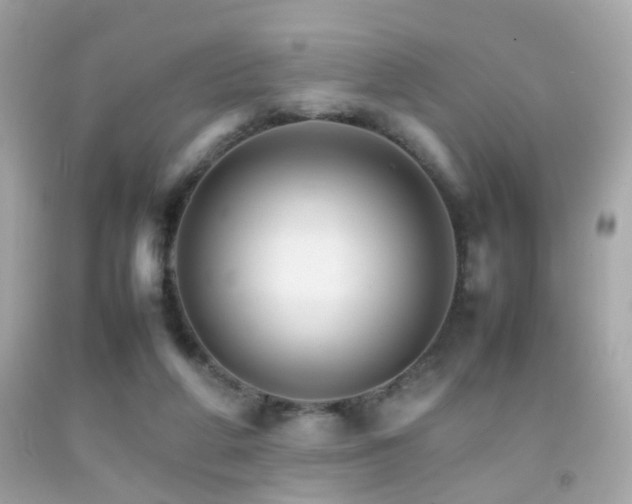 X0000092070210200709121423