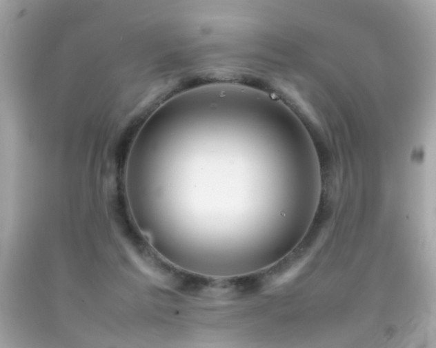 X0000092070213200709121423