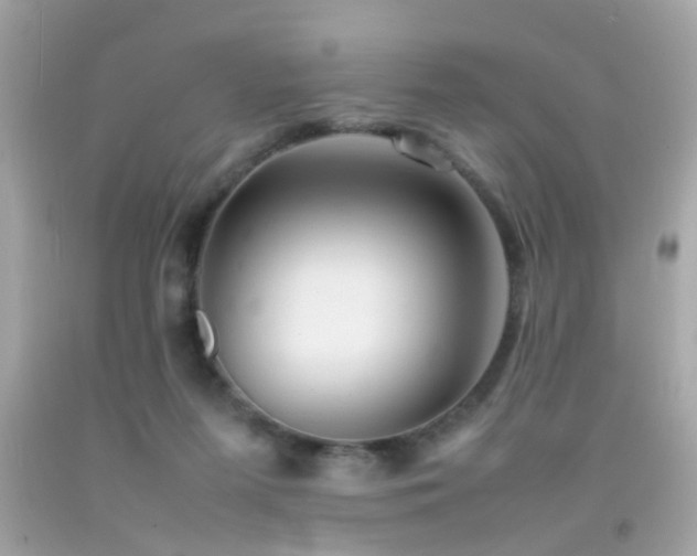 X0000092070215200709121423