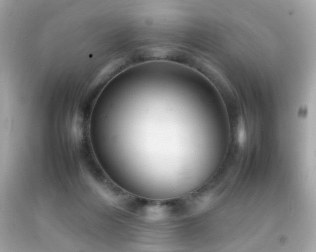 X0000092070216200709121423