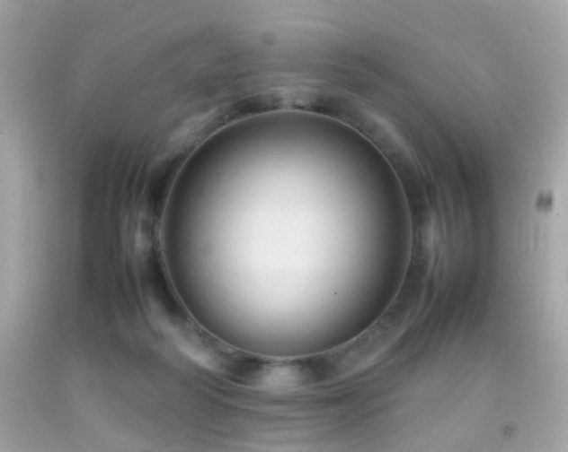 X0000092070218200709121423
