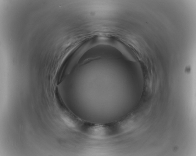 X0000092070219200709121423