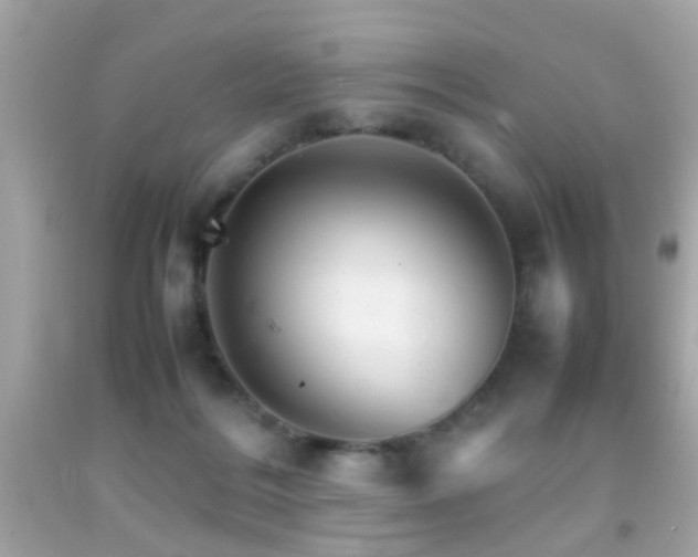 X0000092070220200709121423