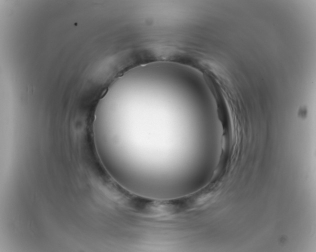 X0000092070221200709121423
