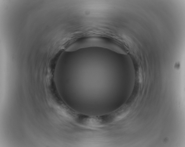X0000092070223200709121423