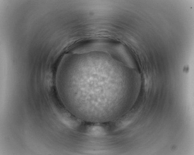 X0000092070224200709121423