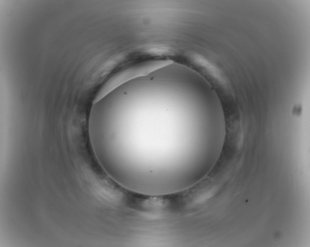 X0000092070225200709121423