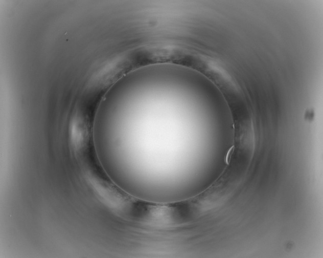 X0000092070226200709121423